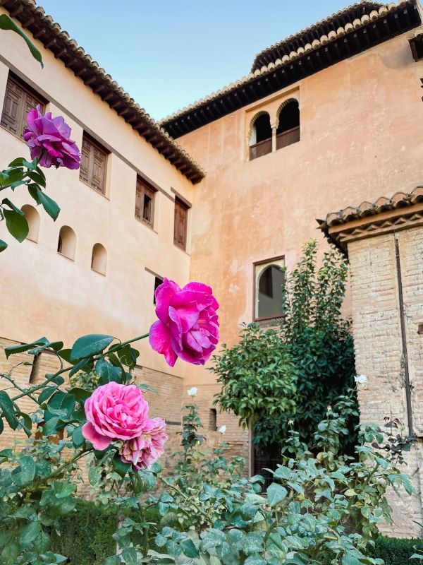 Alhambra roses best things to do in Granada Spain