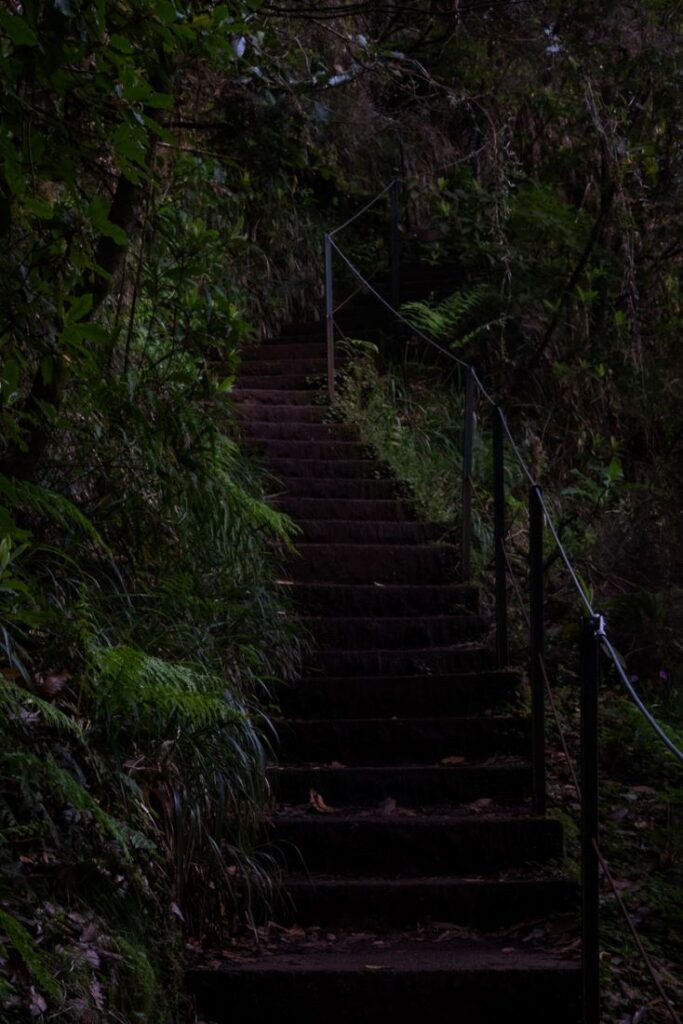 stairs along the caldeirão verde hike