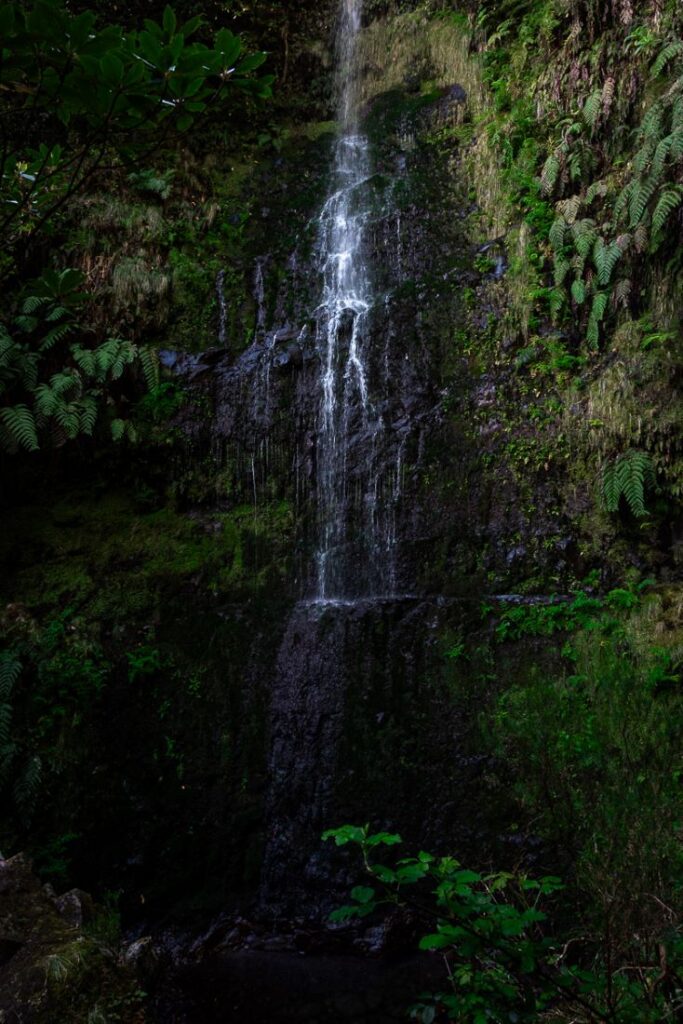 waterfall along caldeirão verde hike madeira