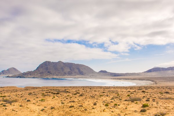 landscape pan de azucar national park chile