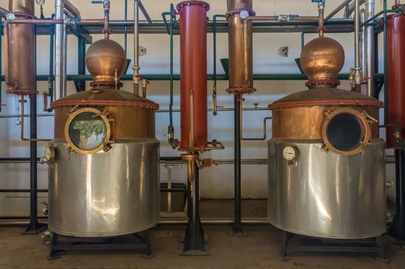 distillery pisco mistral elqui