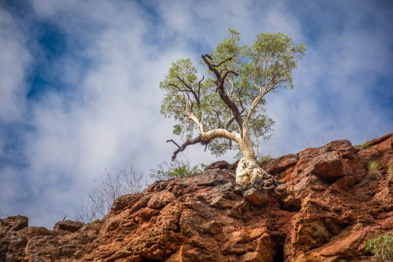 featured image best hikes in karijini national park