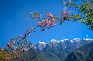 featured image tiger leaping gorge in china