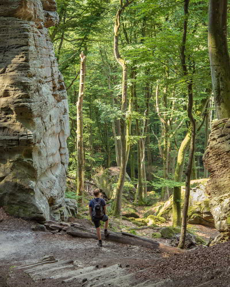 trail-2-rock-formations-mullerthal-luxembourg
