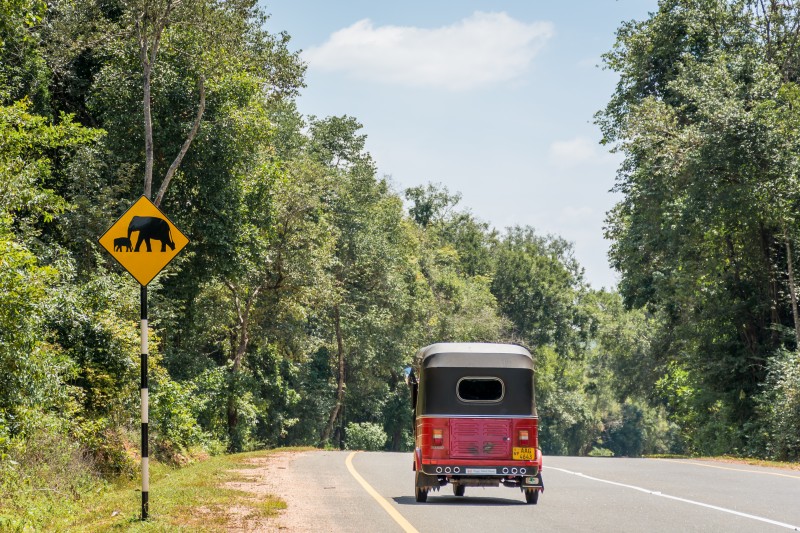 elephant sign road trincomalee