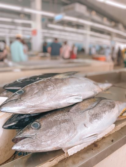 fish market oman muscat