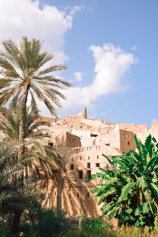 Birkat Al Mouz in Oman mud houses palm trees
