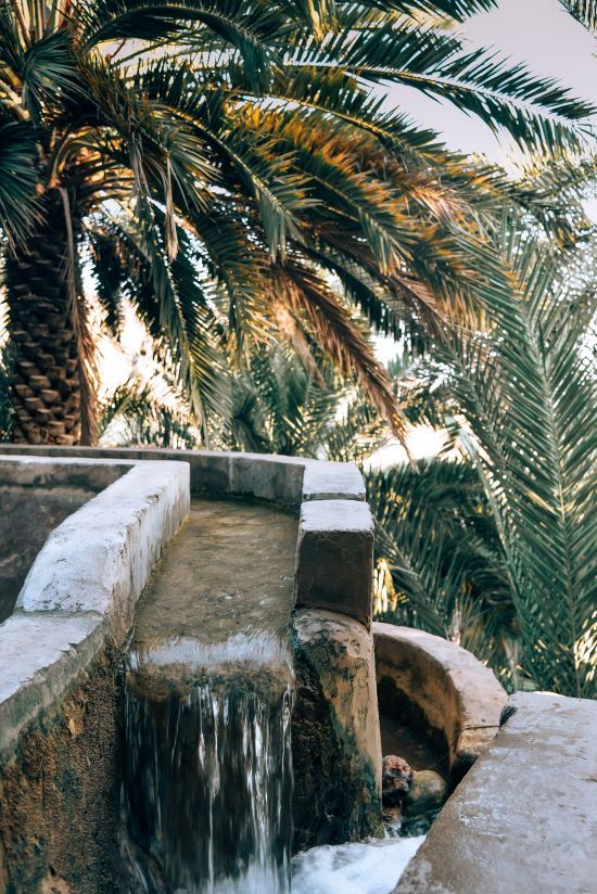 misfat al abriyeen falaj water palm tree oman