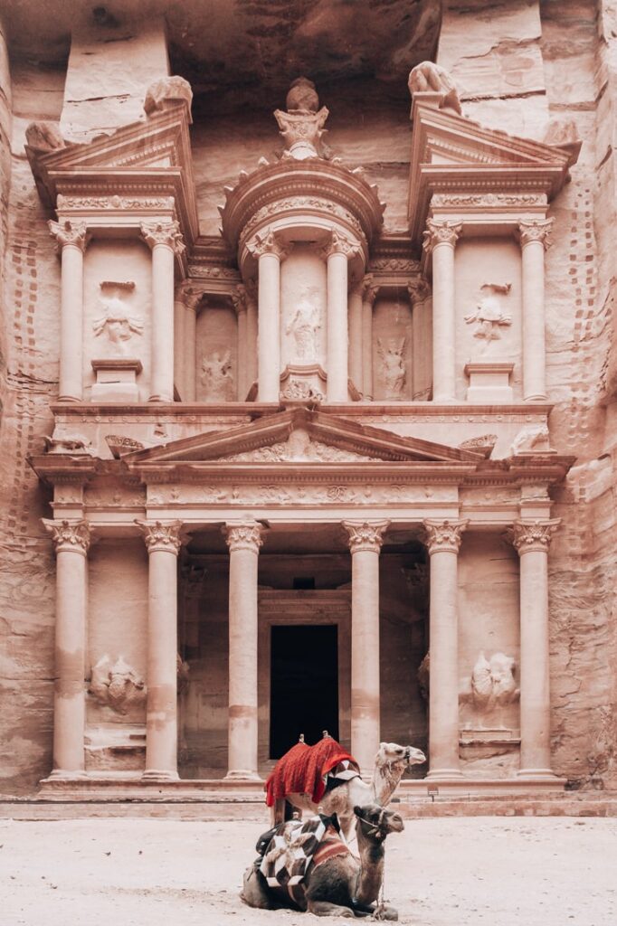 camels in front of the treasury in petra
