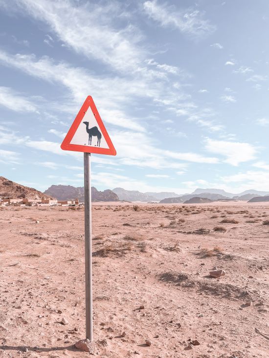 Traffic road sign of a camel