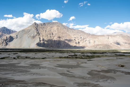 Hunder sand dunes ladakh india