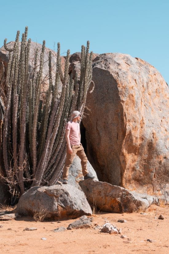 Matthias wearing a hat and hiking shoes standing on a granite boulder next to a tall, branching cactus under a clear blue sky during an independent walk near Hoada Campsite.