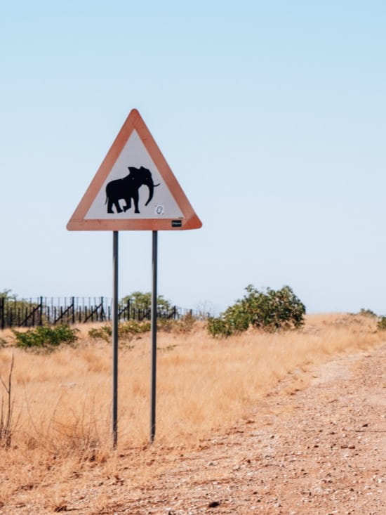 A triangular traffic sign with an elephant silhouette stands beside a gravel desert road.