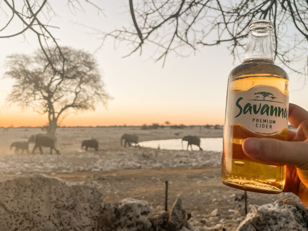 A hand holding a cider with in the background elephants enjoying the waterhole of Okaukuejo in Etosha