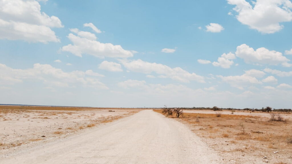 a gravel road in the plains of Etosha, taking during a self drive safari