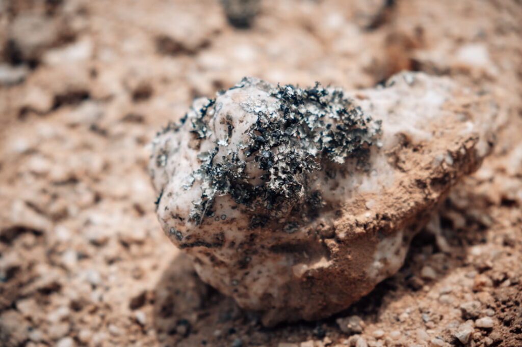 Close-up of dark lichen growing on a quartz stone on sandy desert ground in the Namib Desert, Namibia.
